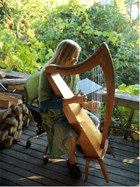 The Celtic Harp