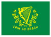 Irish flags available to buy online