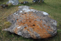 Flagstone of loneliness